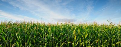 Sprawdź nasze portfolio.