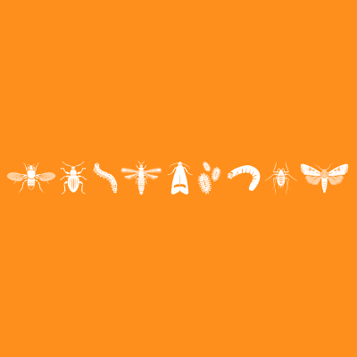 IMG_Product-Header-Banners_Insecticide_1_3000x3000px_Corteva-ZA_ZA-V1.