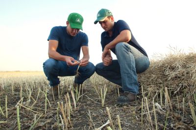 Woodstock Research Facility in 1981