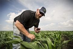 Local Agronomic Insights