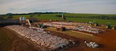 Propriedade com estoque de silagem