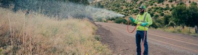 Applicator spraying roadside brush