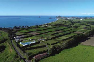 Waireka – custom-built plant disease paradise and world-class testing ground.