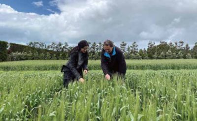 Brian Husband, and visiting field scientist Marta Benito from Spain.