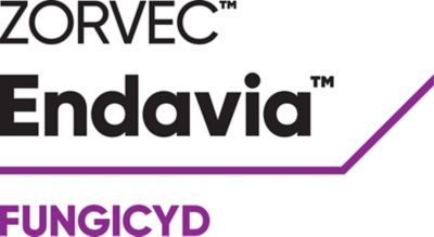 Zorvec™ Endavia™