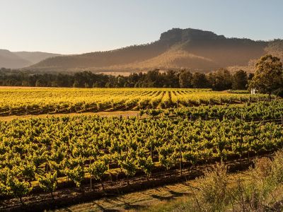 Margan - Ceres Hill, Broke Fordwich, Hunter Valley