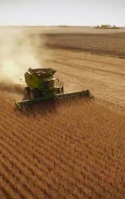 Combine harvesting soybean field