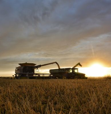 IMG_combine-grain-cart-at-sunset-1_beauty_097-1