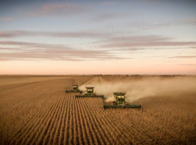 Combines harvesting field