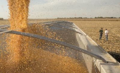 corn-seed-pouring-into-grain-bin-1_beauty_1_64-1