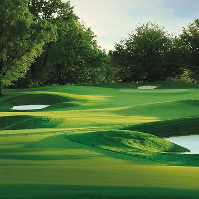 A beautiful golf course with trees in the background