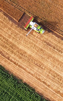 IMG_harvest_field_251_400