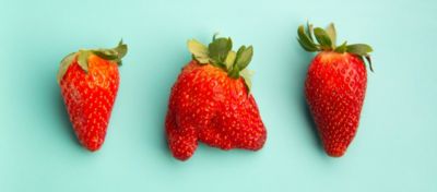 imperfect-strawberries