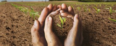 LumiGEN Tratamientos de Semillas