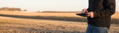 Man with tablet in harvested corn field