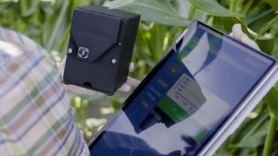 A person holding a tablet in a field of corn