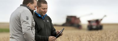 Reading tablet in soybean harvest field
