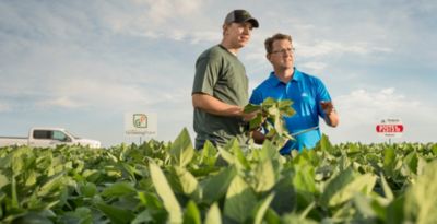 Growing Point Agronomy soybean field