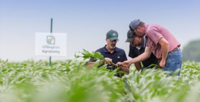 Growing Point Agronomy corn field