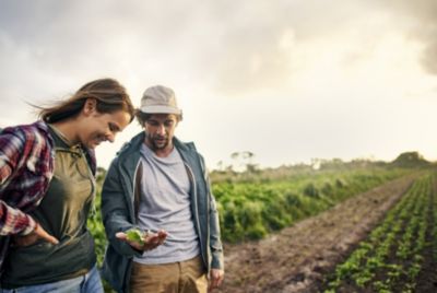 Two farmers looking at a crop