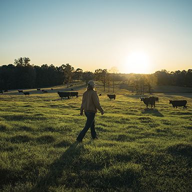 Rancher walking in pasture