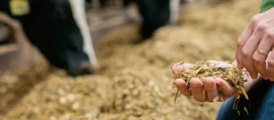 Rapid React - 11C33 11G22