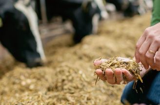 Rapid React - wyjątkowy produkt