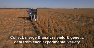 Research Harvest Plot Maps