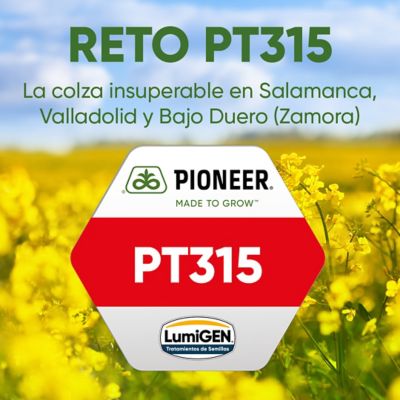 Reto PT315