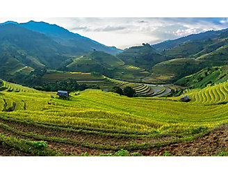 IMG_rice-paddy-terraces-1_beauty_1_64-1