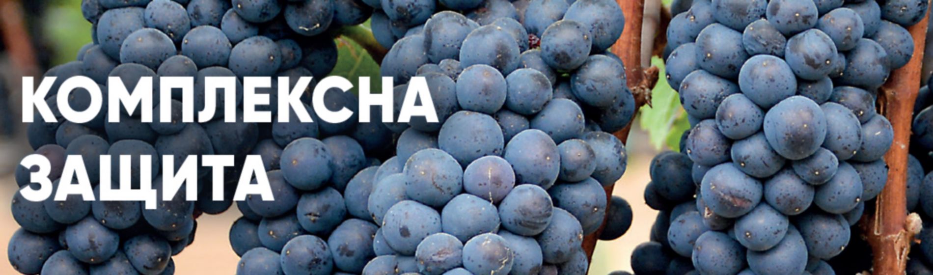 IMG_www_RZ_Vinabra_1440x320_new