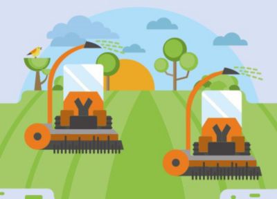 Strefa kiszonki. Zbiór