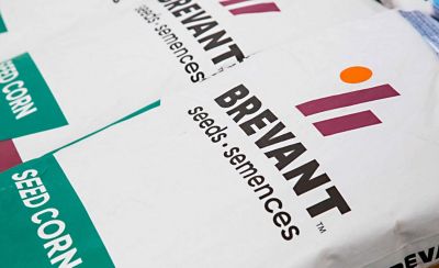 Brevant Seed Bags of Soybean Seed