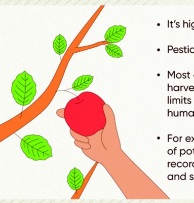 Image-HandPickingApple