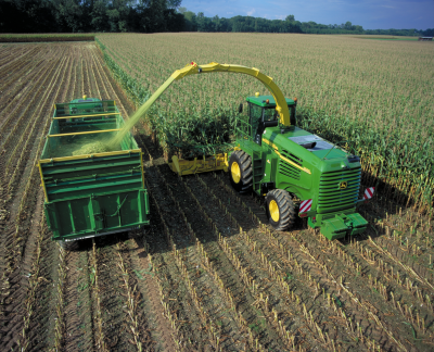 Pioneer Maize Hybrids