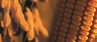 Evolução do sistema soja/milho com TSI completo LumiGEN®