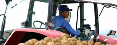 Img_head_Biei-001_eyecatch