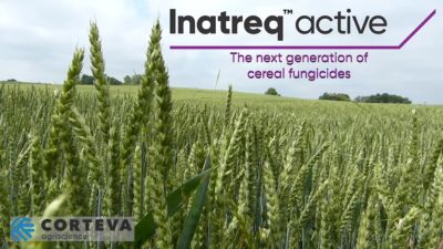 Inatreq vs Septoriose