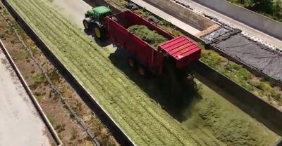 Hoe kunnen we het inkuilproces verbeteren?