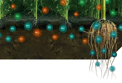 Instinct carousel.jpg