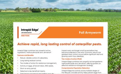 Intrepid Edge Maize FAW