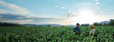 Intrepid Edge Jemvelva active