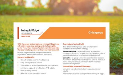 Intrepid Edge Jemvelva active Introductory Technote - Chickpeas & Mung Beans