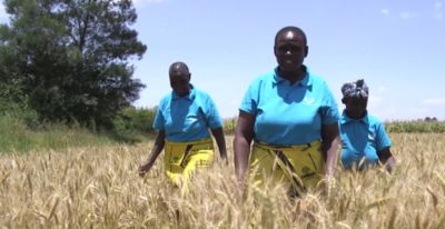 Kenya: Kurur Women Cooperative Society