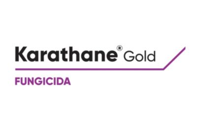 Logo de Karathane Gold