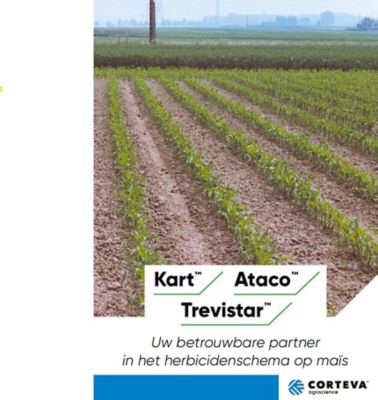 Brochure Kart in mais