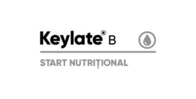 Logo Keylate B
