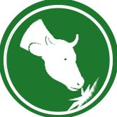 Jakościowa kiszonka