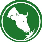 Jakościowa kiszonka