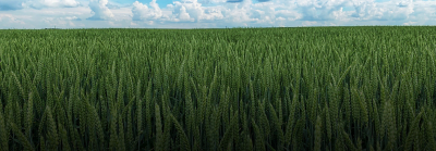 Kontakt os billede.png